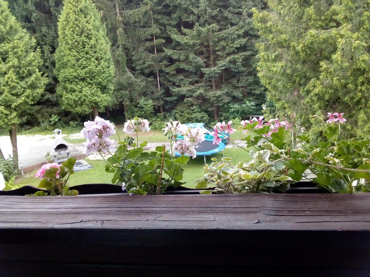 Pension Villa Louise Sankt Kanzian am Klopeiner See Zewnętrze zdjęcie
